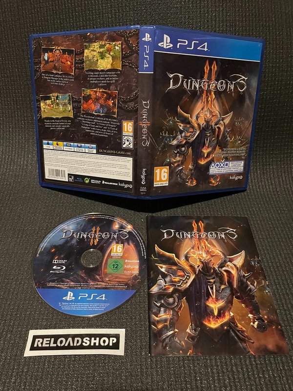 Dungeons 2 PS4 (käytetty)